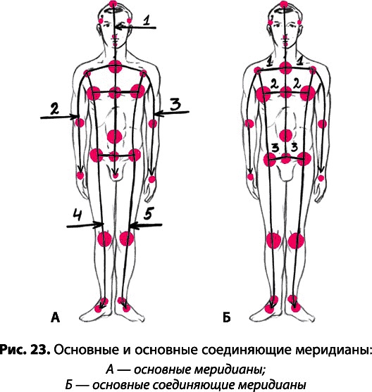 Тайное знание не для всех. Секреты целителя Тайное знание не для всех. Секреты целителя