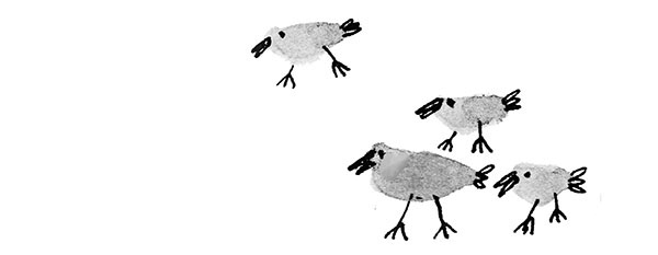 Дневник кота-убийцы. Все истории (сборник) Дневник кота-убийцы. Все истории (сборник)