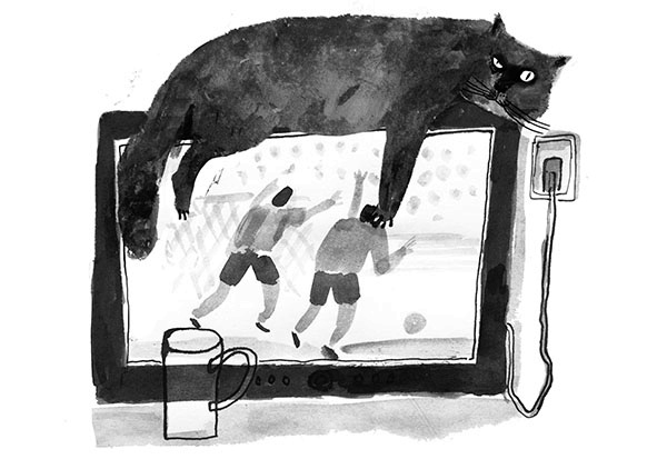 Дневник кота-убийцы. Все истории (сборник) Дневник кота-убийцы. Все истории (сборник)
