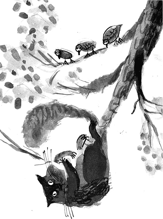 Дневник кота-убийцы. Все истории (сборник) Дневник кота-убийцы. Все истории (сборник)