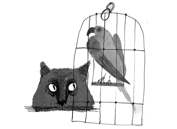 Дневник кота-убийцы. Все истории (сборник) Дневник кота-убийцы. Все истории (сборник)