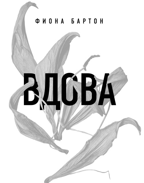 Вдова Вдова