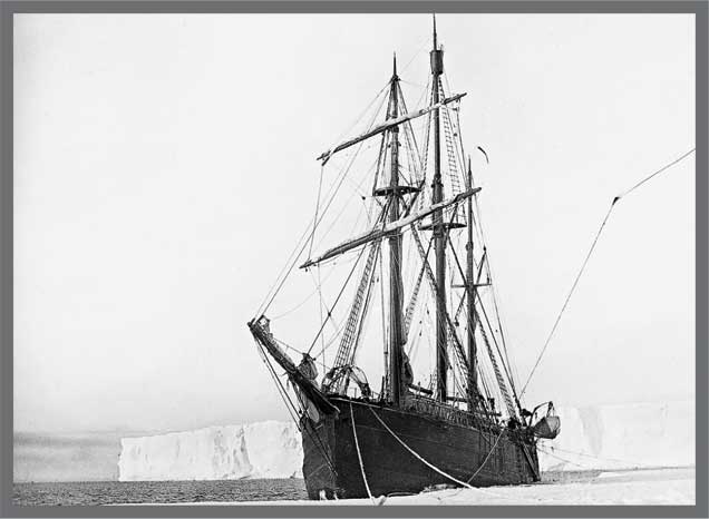 Александр Кучин. Русский у Амундсена Александр Кучин. Русский у Амундсена