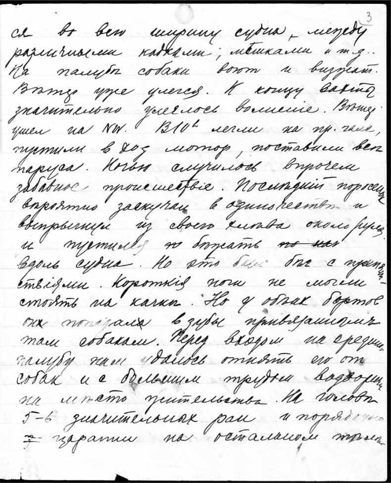 Александр Кучин. Русский у Амундсена Александр Кучин. Русский у Амундсена