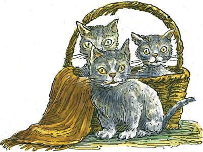 О дохлой кошке и живых котятах О дохлой кошке и живых котятах