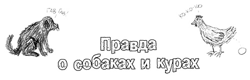 Привет, это я! Первый поцелуй Привет, это я! Первый поцелуй