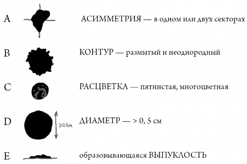 Что скрывает кожа. 2 квадратных метра, которые диктуют, как нам жить Что скрывает кожа. 2 квадратных метра, которые диктуют, как нам жить