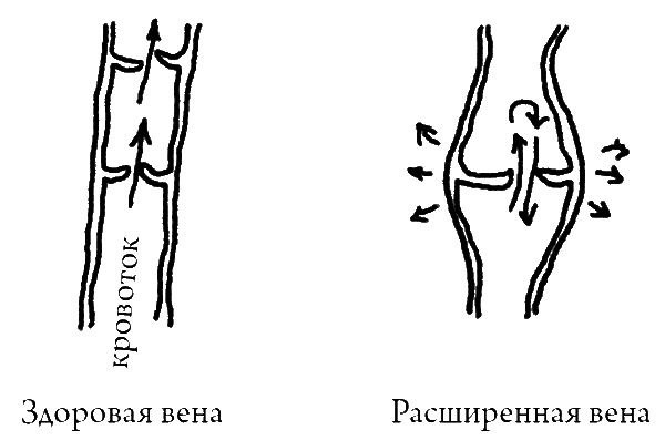 Что скрывает кожа. 2 квадратных метра, которые диктуют, как нам жить Что скрывает кожа. 2 квадратных метра, которые диктуют, как нам жить