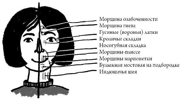 Что скрывает кожа. 2 квадратных метра, которые диктуют, как нам жить Что скрывает кожа. 2 квадратных метра, которые диктуют, как нам жить