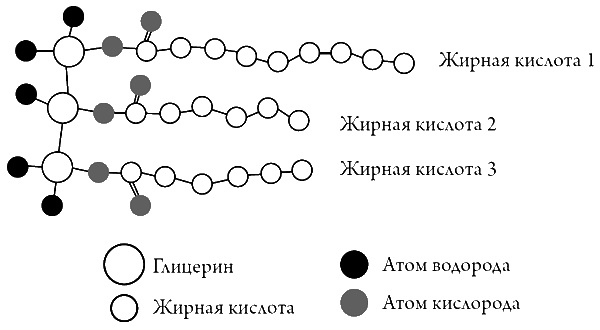 Что скрывает кожа. 2 квадратных метра, которые диктуют, как нам жить Что скрывает кожа. 2 квадратных метра, которые диктуют, как нам жить