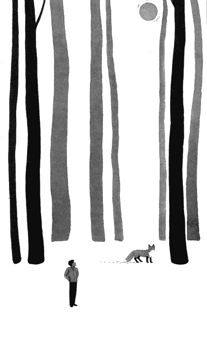 Цветущий репейник Цветущий репейник