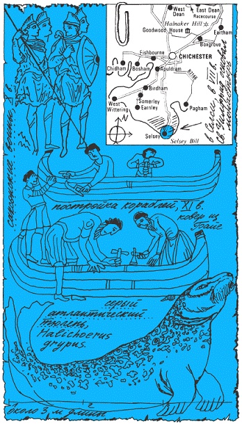 Подарки фей Подарки фей