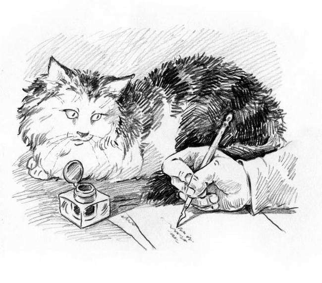 О пушистых кошечках О пушистых кошечках