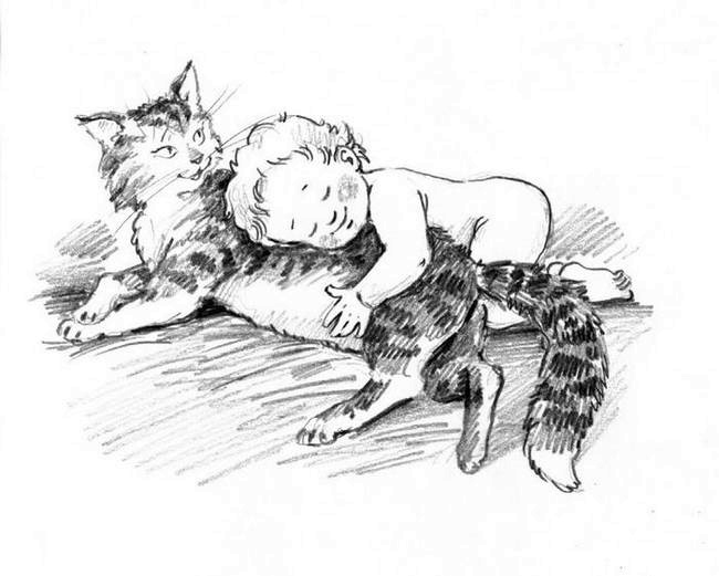 О пушистых кошечках О пушистых кошечках