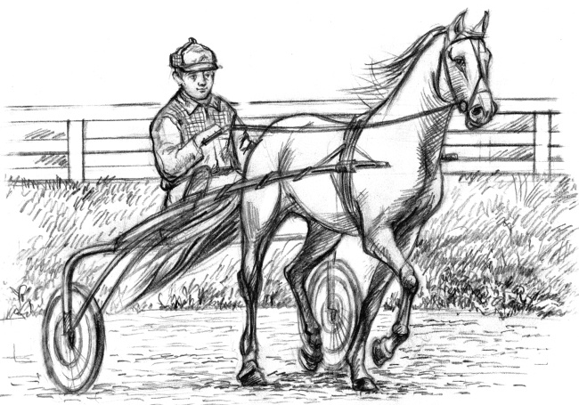 Белый пудель Белый пудель