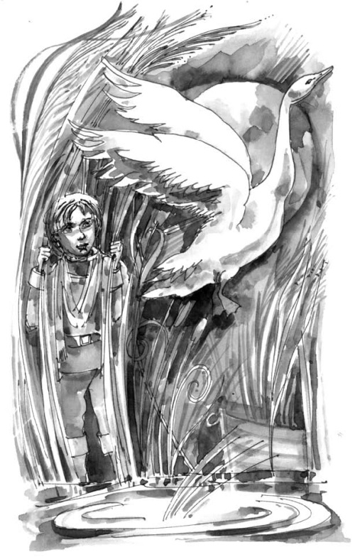 На все цвета радуги На все цвета радуги