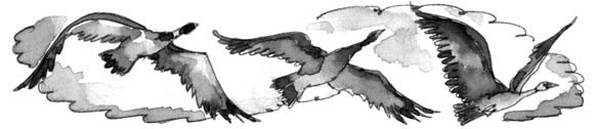 На все цвета радуги На все цвета радуги