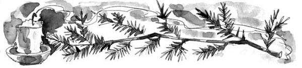 На все цвета радуги На все цвета радуги