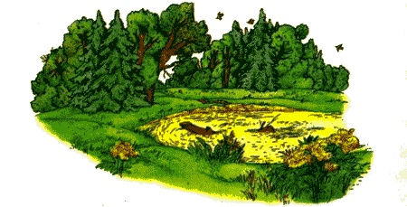 Поллианна. Юность Поллианны Поллианна. Юность Поллианны