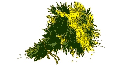Поллианна. Юность Поллианны Поллианна. Юность Поллианны