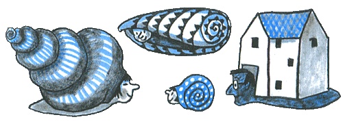 Где лежит море? Где лежит море?