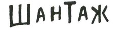 Осторожно, Питбуль-Терье! Осторожно, Питбуль-Терье!