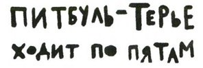 Осторожно, Питбуль-Терье! Осторожно, Питбуль-Терье!
