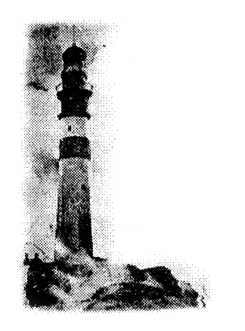 Спасенная в море Спасенная в море