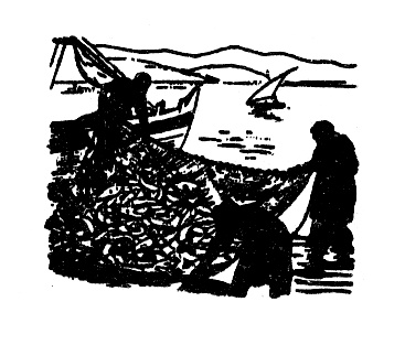 Спасенная в море Спасенная в море