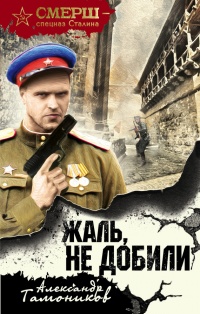 Жаль, не добили - Александр Тамоников - Читать книги онлайн | Слушать аудиокниги онлайн | Электронная библиотека books-lib.com