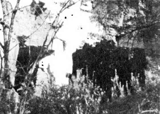 Райнхард Гейдрих - паладин Гитлера Райнхард Гейдрих - паладин Гитлера