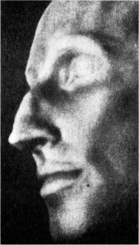 Райнхард Гейдрих - паладин Гитлера Райнхард Гейдрих - паладин Гитлера