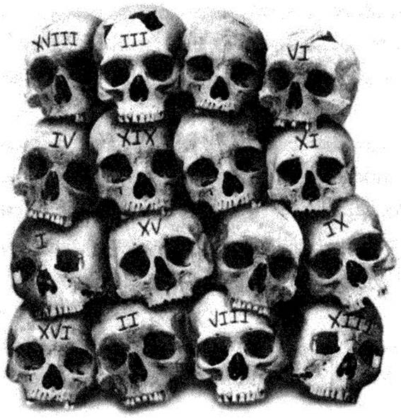 Лабиринт костей Лабиринт костей