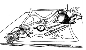 Настольная книга для девочек Настольная книга для девочек