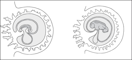 Самая важная российская книга мамы. Беременность. Роды. Первые годы Самая важная российская книга мамы. Беременность. Роды. Первые годы