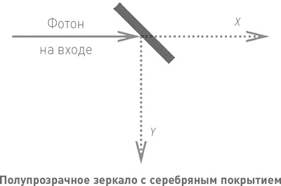 Начало бесконечности. Объяснения, которые меняют мир Начало бесконечности. Объяснения, которые меняют мир
