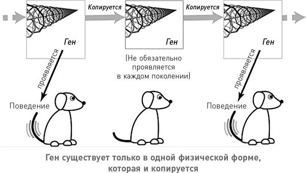Начало бесконечности. Объяснения, которые меняют мир Начало бесконечности. Объяснения, которые меняют мир