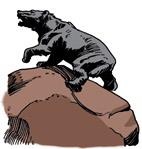 Сказки, которые живут в Ярославле Сказки, которые живут в Ярославле