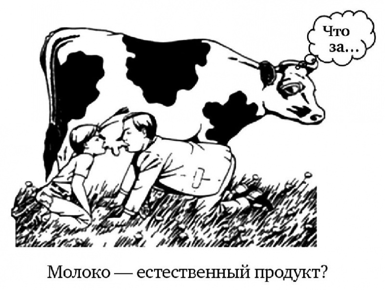 Сыроедение и другие здоровые привычки. Ответы на вопросы Сыроедение и другие здоровые привычки. Ответы на вопросы