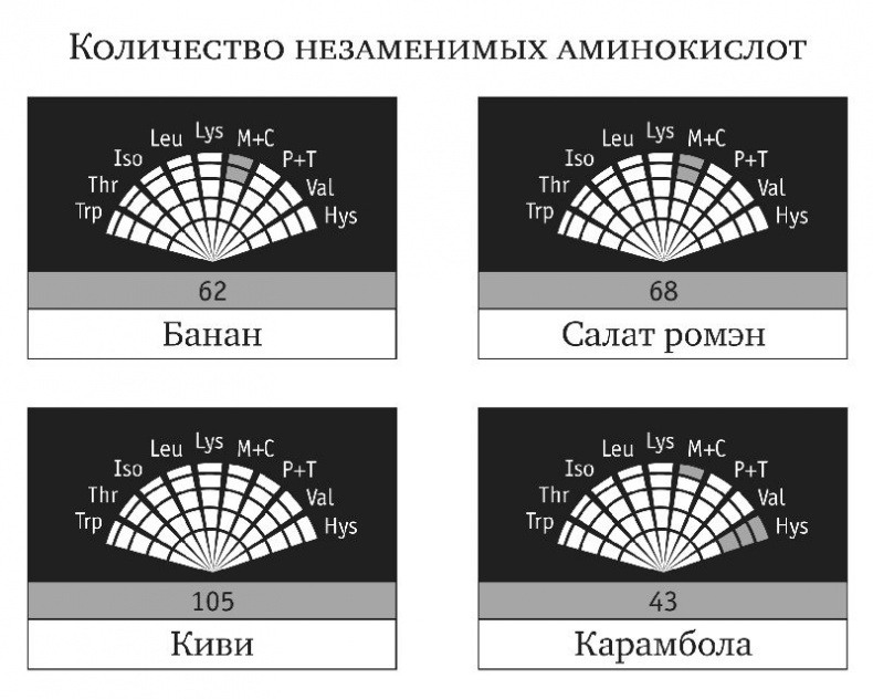 Сыроедение и другие здоровые привычки. Ответы на вопросы Сыроедение и другие здоровые привычки. Ответы на вопросы