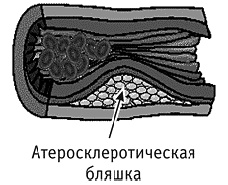 Фрукторианство. Новый взгляд на эволюцию питания человека Фрукторианство. Новый взгляд на эволюцию питания человека
