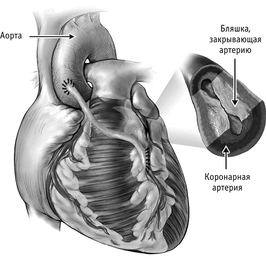 Фрукторианство. Новый взгляд на эволюцию питания человека Фрукторианство. Новый взгляд на эволюцию питания человека