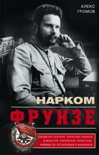 Нарком Фрунзе. Победитель Колчака, уральских казаков и Врангеля, покоритель Туркестана, ликвидатор петлюровцев и махновцев - Алекс Громов - Читать книги онлайн | Слушать аудиокниги онлайн | Электронная библиотека books-lib.com