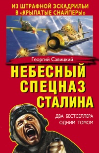 Небесный спецназ Сталина. Из штрафной эскадрильи в «крылатые снайперы» - Георгий Савицкий - Читать книги онлайн | Слушать аудиокниги онлайн | Электронная библиотека books-lib.com