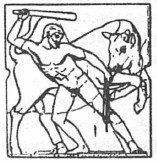 История античного атлетизма История античного атлетизма