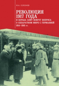 Революция 1917 года и борьба элит вокруг вопроса о сепаратном мире с Германией (1914–1918 гг.) - Федор Селезнев - Читать книги онлайн | Слушать аудиокниги онлайн | Электронная библиотека books-lib.com