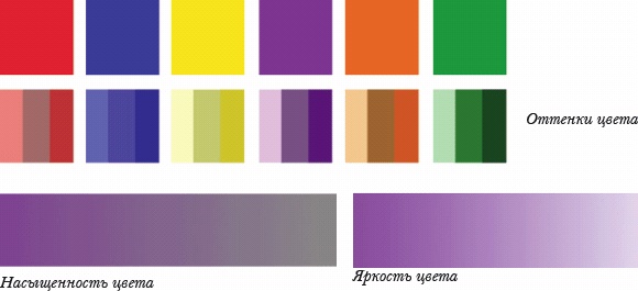 Основы личного стиля Основы личного стиля