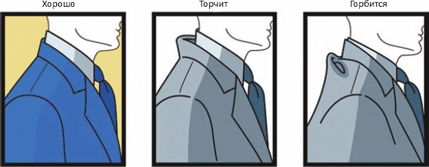 Основы личного стиля Основы личного стиля