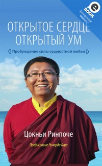Открытое сердце. Открытый ум. Пробуждение силы сущностной любви - Цокньи Ринпоче - Читать книги онлайн | Слушать аудиокниги онлайн | Электронная библиотека books-lib.com