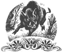 Рождение воина Рождение воина